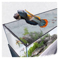 Aquarium Anti-Jump Net Cover (55.1" x 23.6") H457581
