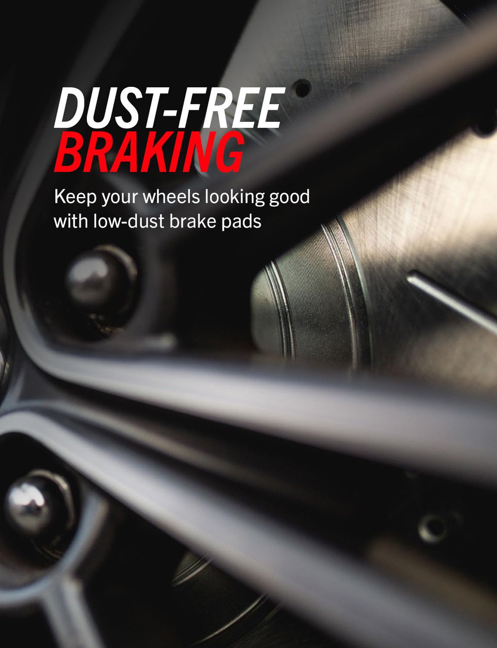 Rear Brake Pad & Rotor Kit C21956