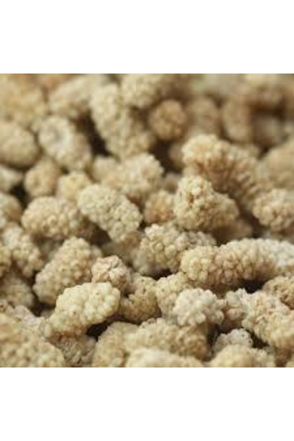 Dried White Mulberries 35.3 oz H969398