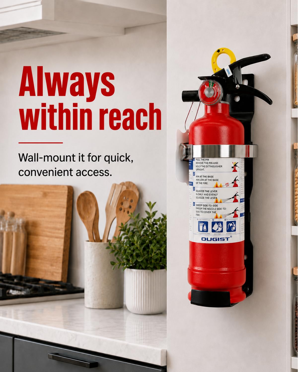 2.5 lb ABC Dry Chemical Fire Extinguisher with Wall Mount D76066