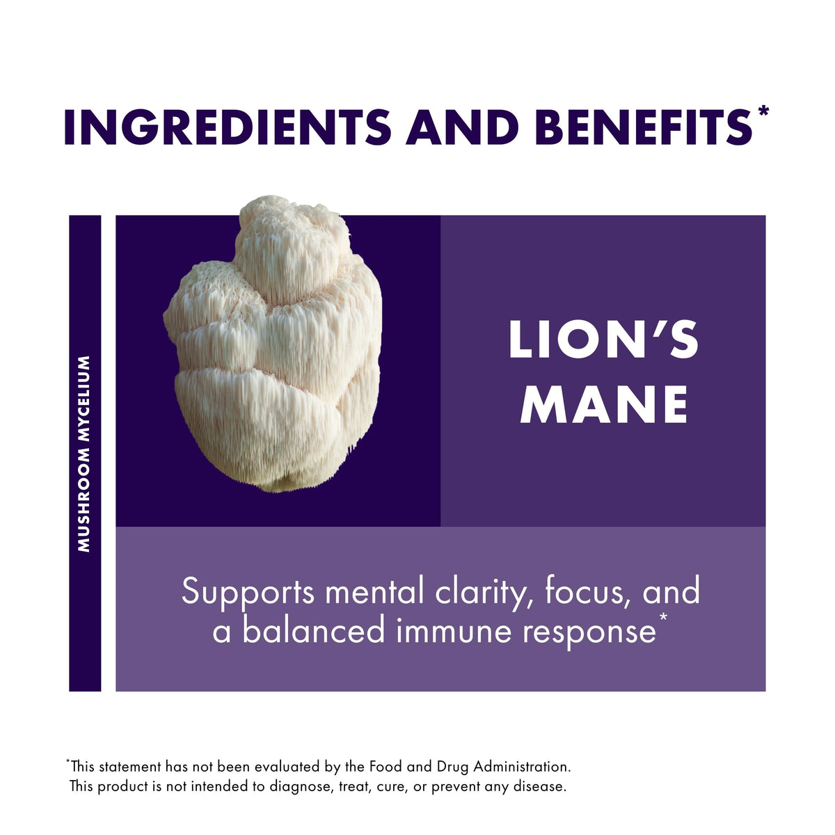 Lion's Mane 60 Capsules D309751