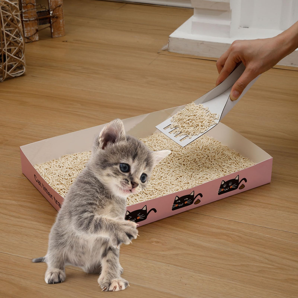 60 Pcs Disposable Cat Litter Boxes with Scoops F715