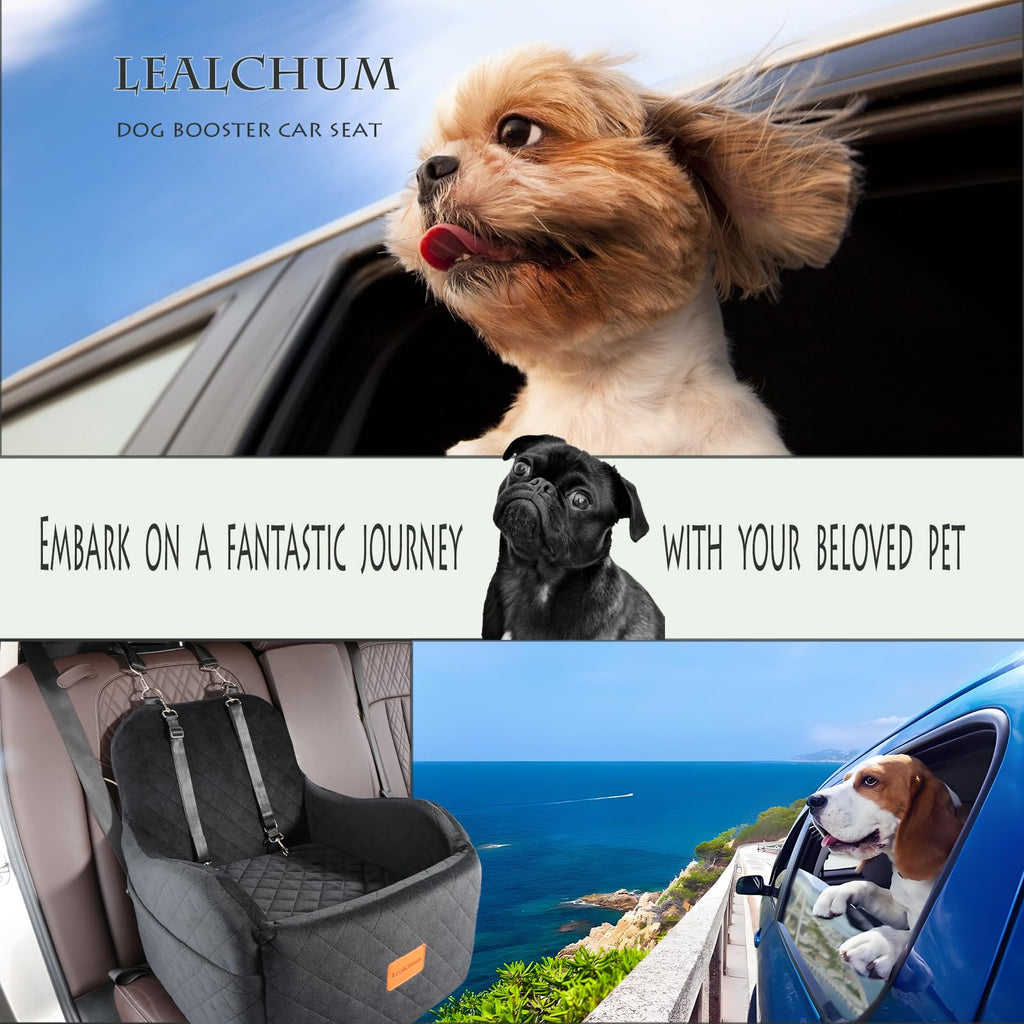 Dog Booster Car Seat for Small/Medium Dogs Up to 35lbs, Black, Medium S653
