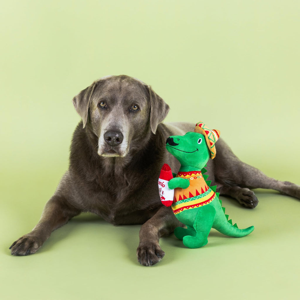 Plush Dog Toy X736