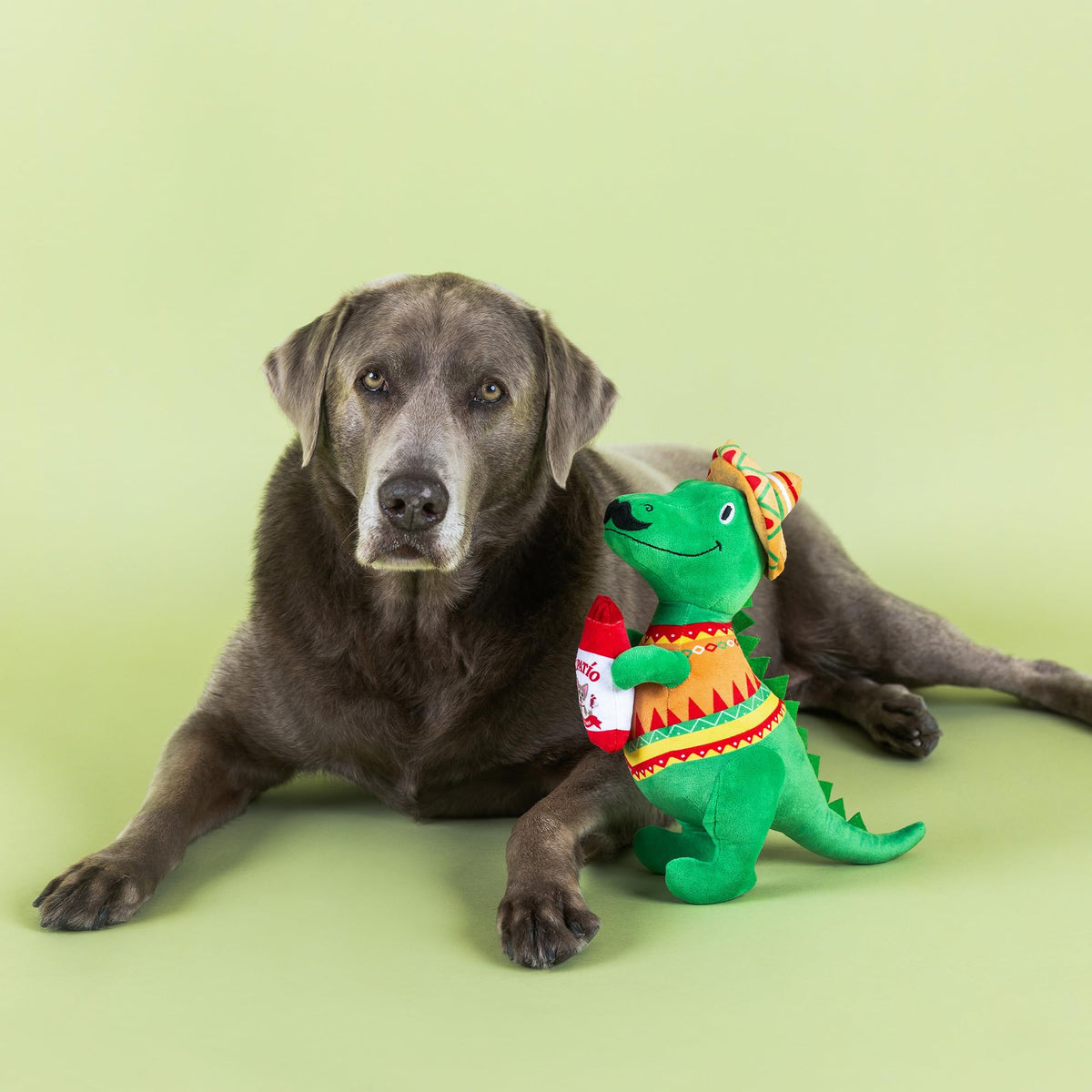 Plush Dog Toy X736
