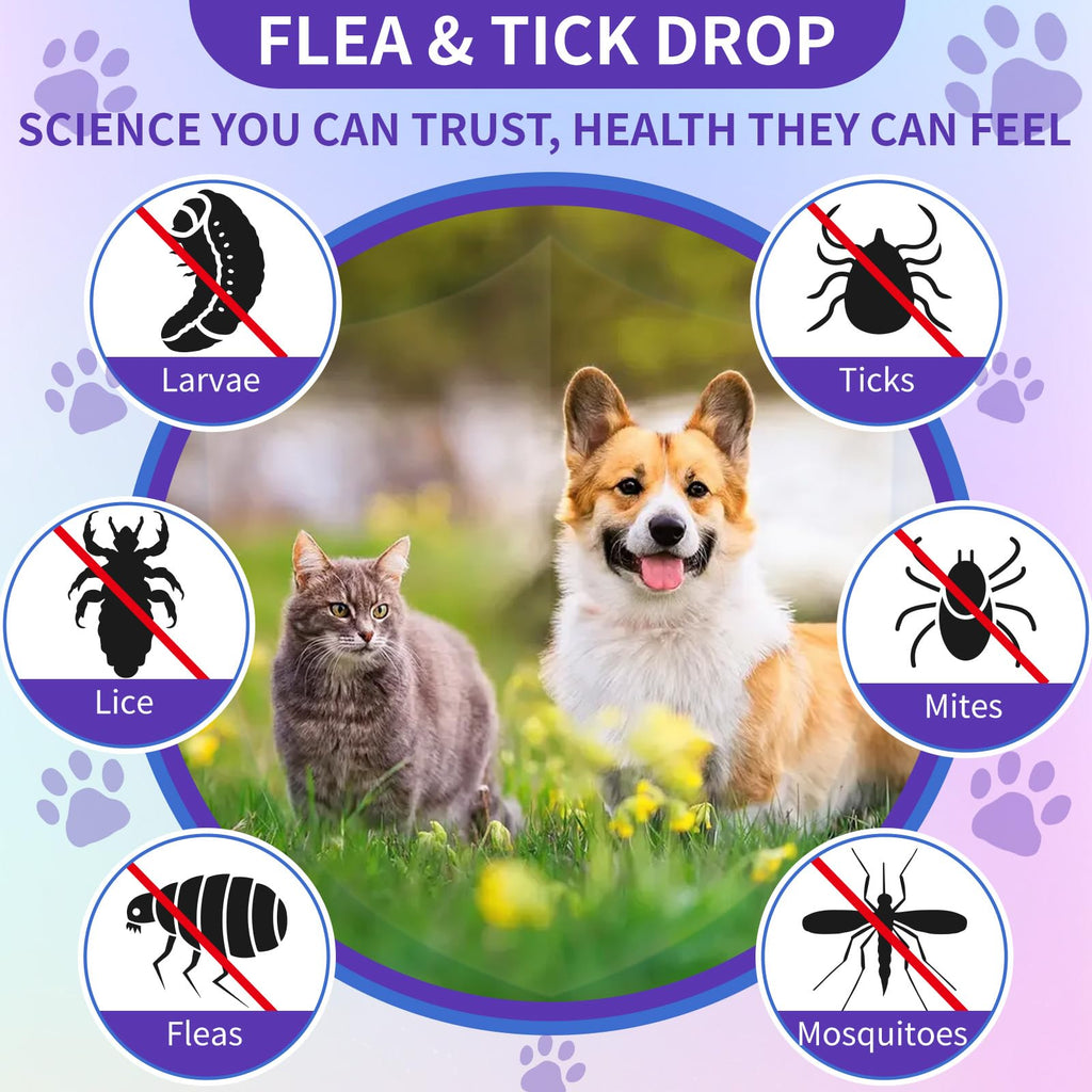 Flea and Tick Prevention for Cats & Dogs 60ml F4613