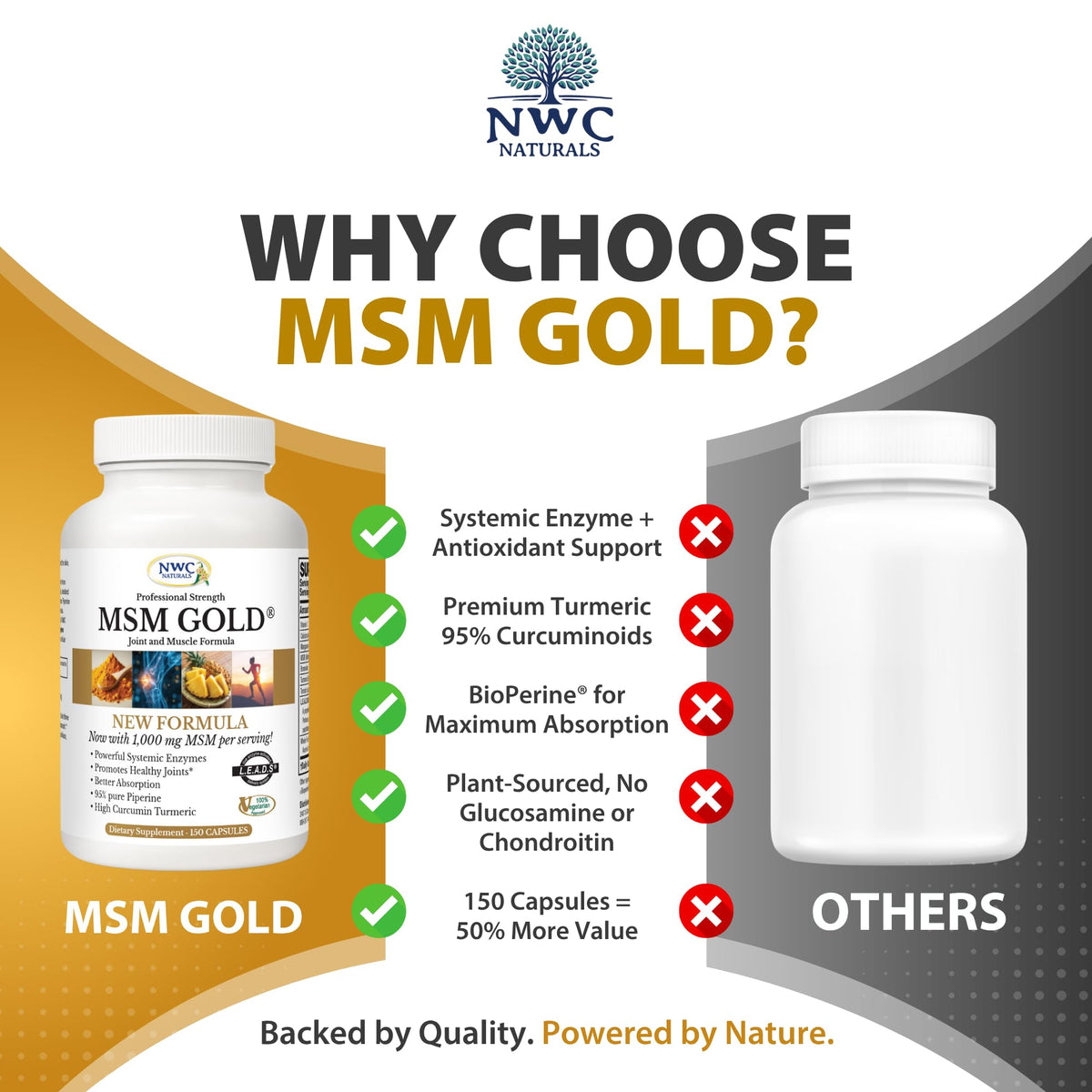 MSM Supplement 1,000 mg 150 Capsules H8462