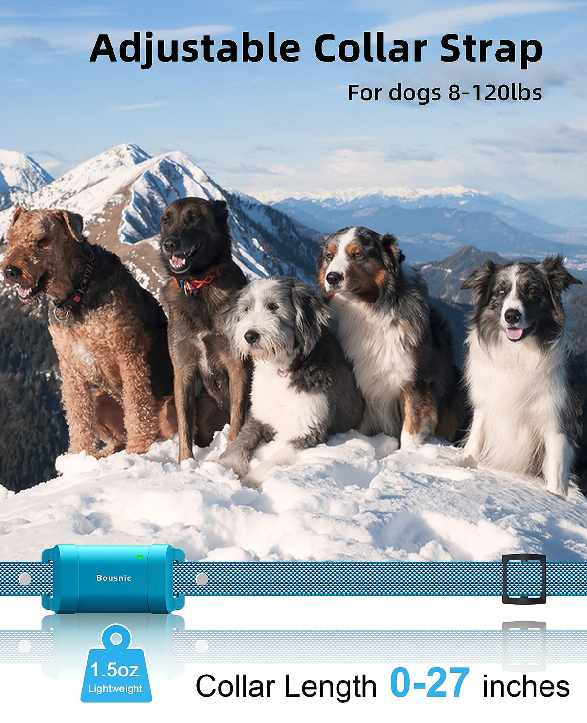 Waterproof Dog Training Collar with Remote I828