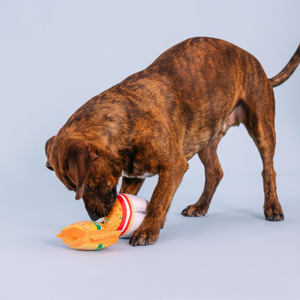 Plush Dog Toy Set with Treat Pockets, 2 Piece Set W281668