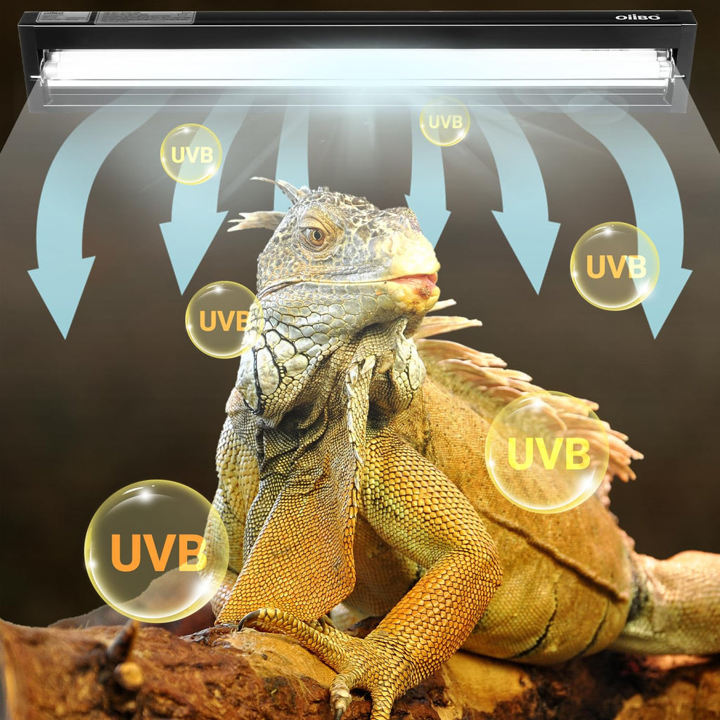 24W UVB 10.0 Reptile Light Fixture Combo Kit Q7604
