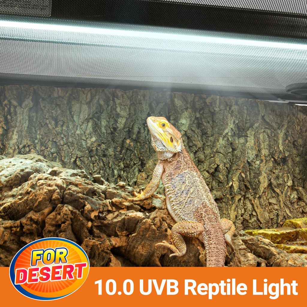 24W UVB 10.0 Reptile Light Fixture Combo Kit Q7604