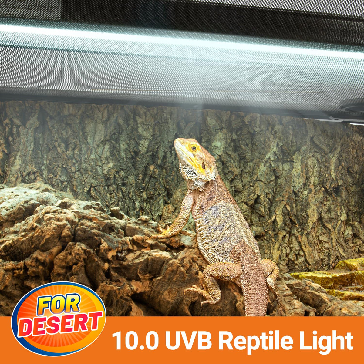 24W UVB 10.0 Reptile Light Fixture Combo Kit Q7604