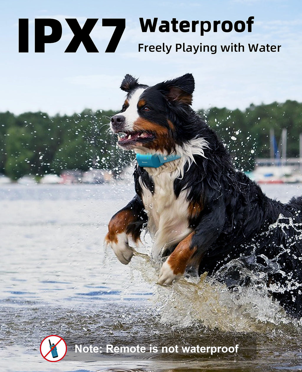 Waterproof Dog Training Collar with Remote I828