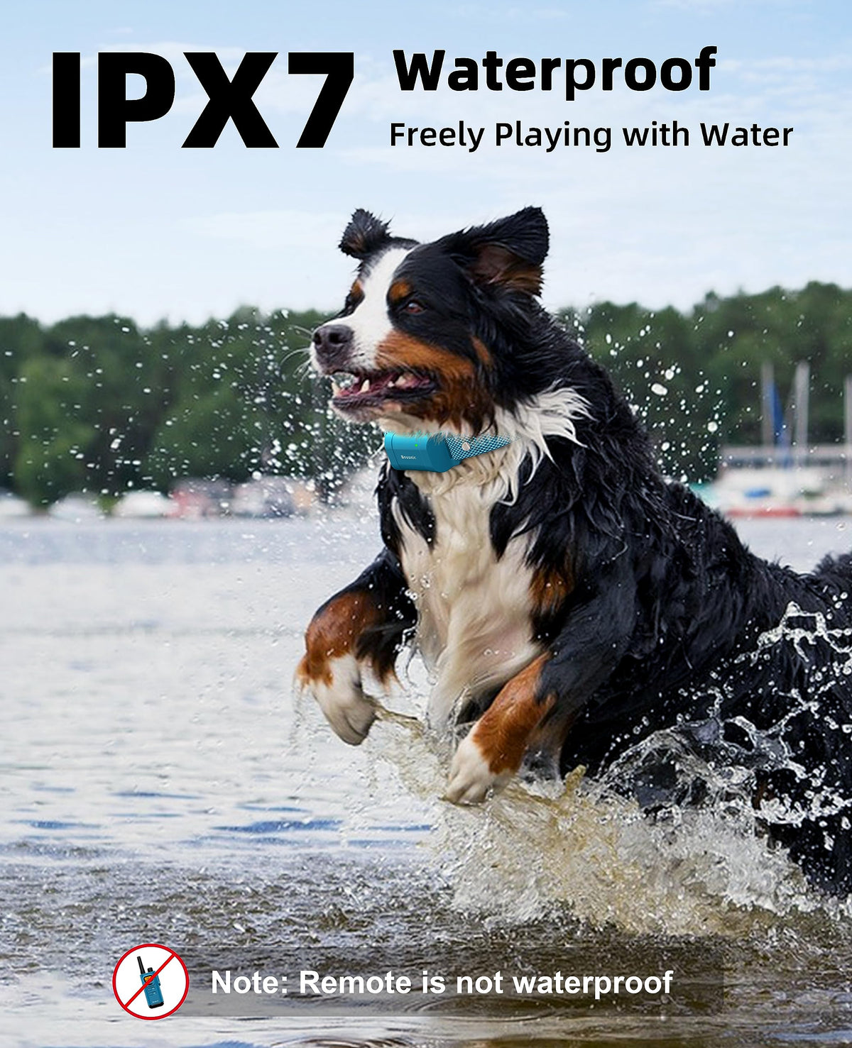 Waterproof Dog Training Collar with Remote I828
