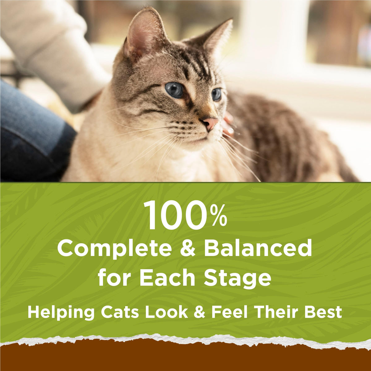 Grain Free Dry Cat Food with Real Chicken 13 lb E337