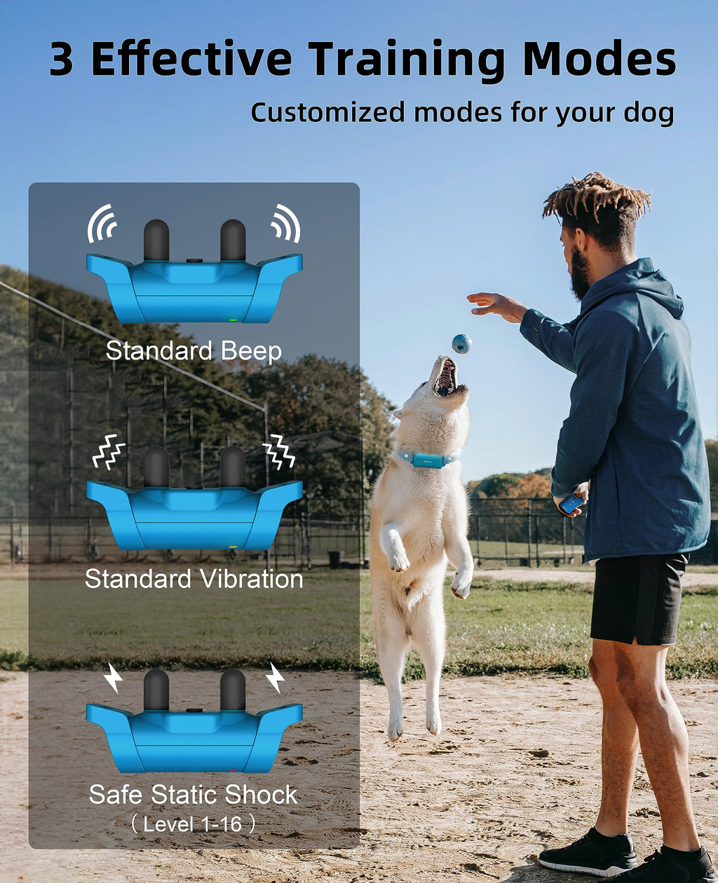 Waterproof Dog Training Collar with Remote I828