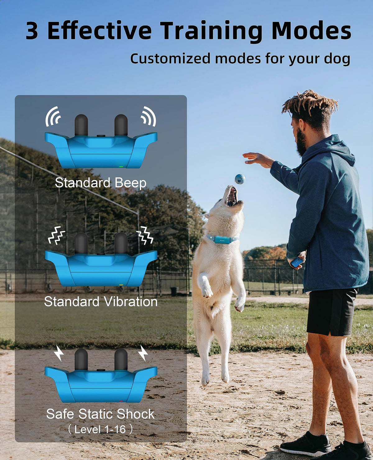 Waterproof Dog Training Collar with Remote I828
