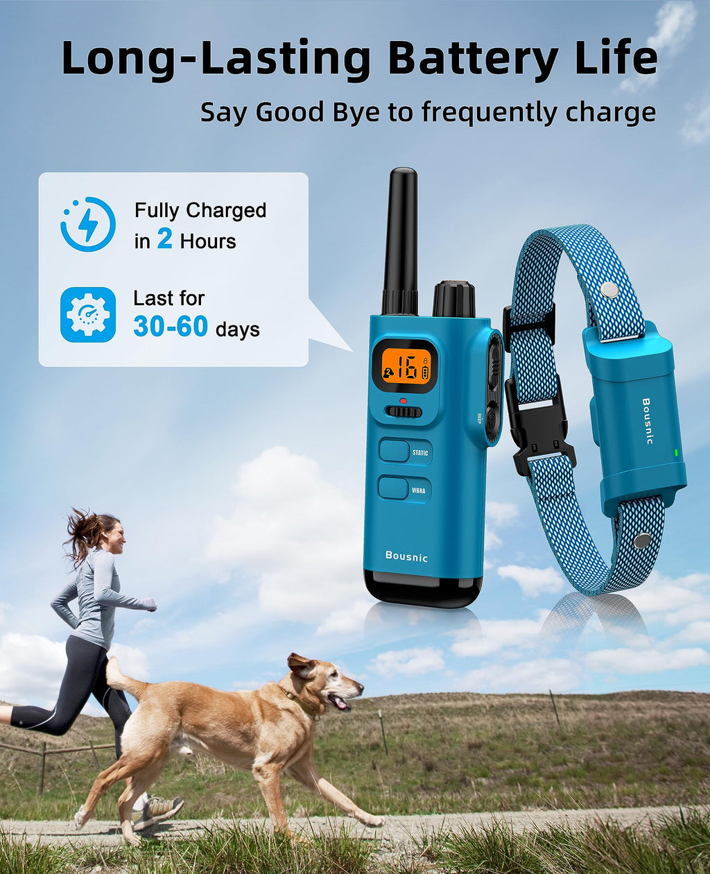 Waterproof Dog Training Collar with Remote I828